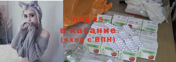 индика Алексин