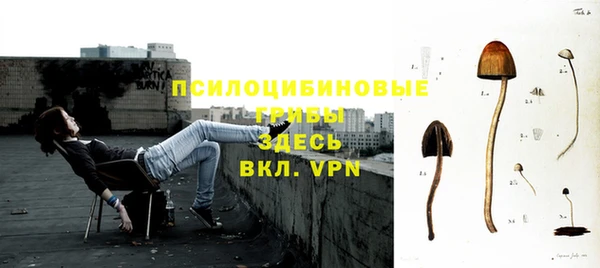 молекула духа Алексеевка