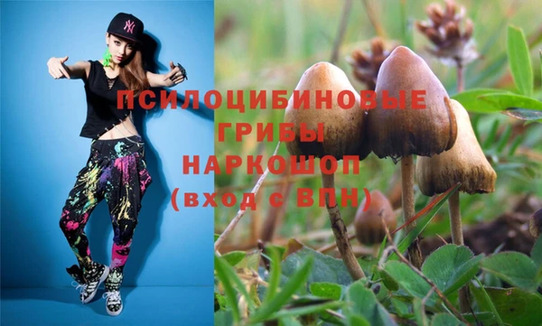 индика Алексин