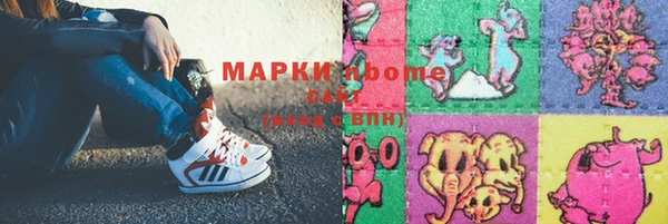 индика Алексин