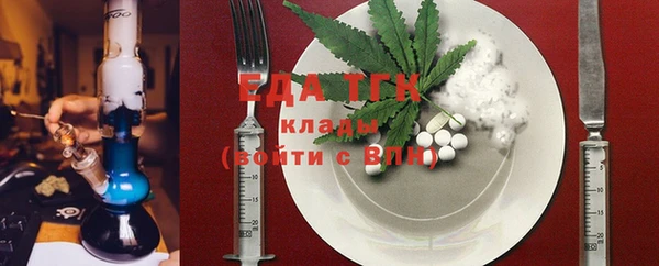 индика Алексин
