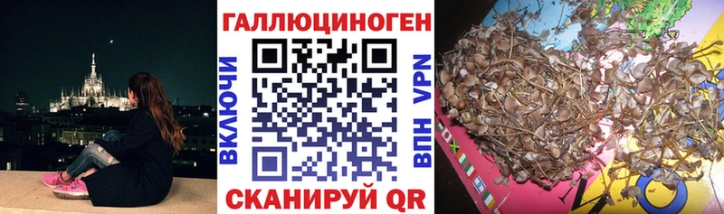 Галлюциногенные грибы ЛСД  Можга 
