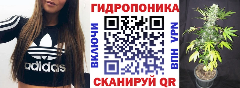 магазин продажи наркотиков Можга ОМГ ОМГ tor Шишки марихуана ГИДРОПОН